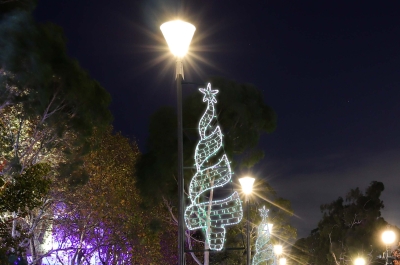 Cadde Direk Motifi