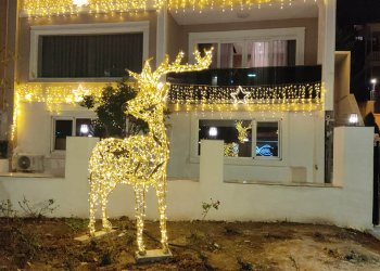 Işıklı LED Geyik